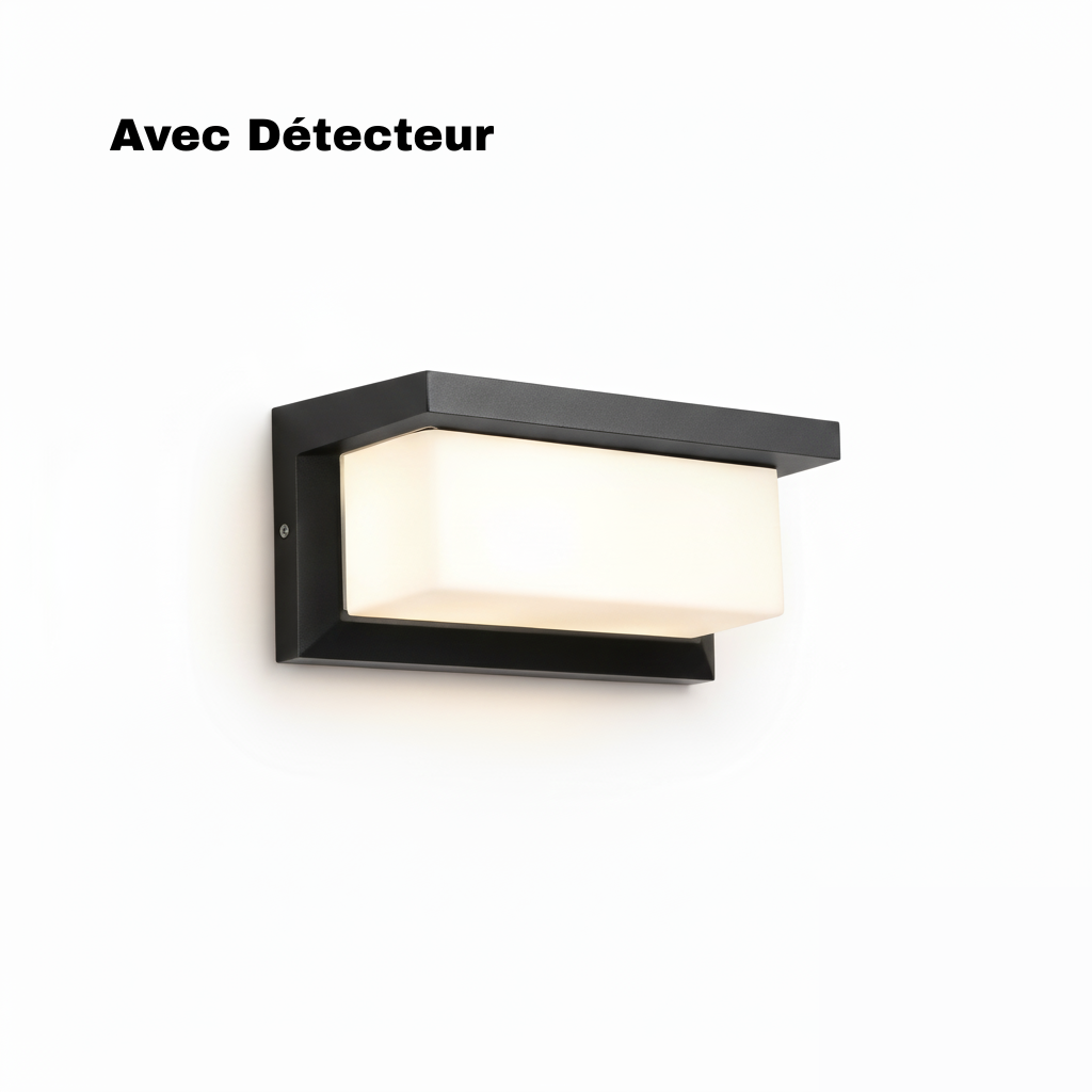 Applique Murale Extérieure Rectangulaire LED Noir