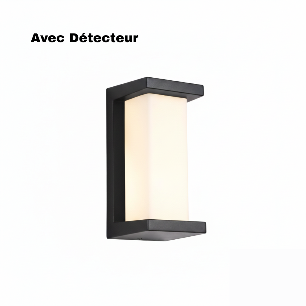 Applique Murale Extérieure Rectangulaire LED Noir